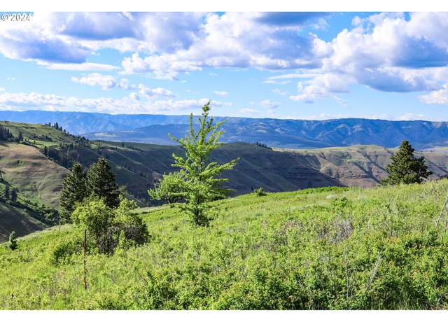 Property at Highway 3, Enterprise, OR 97828