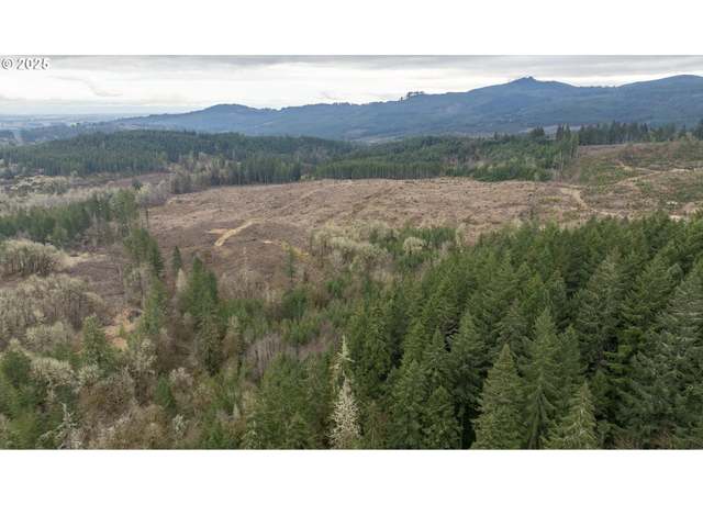 Property at 0 Panther Creek Rd, Carlton, OR 97111
