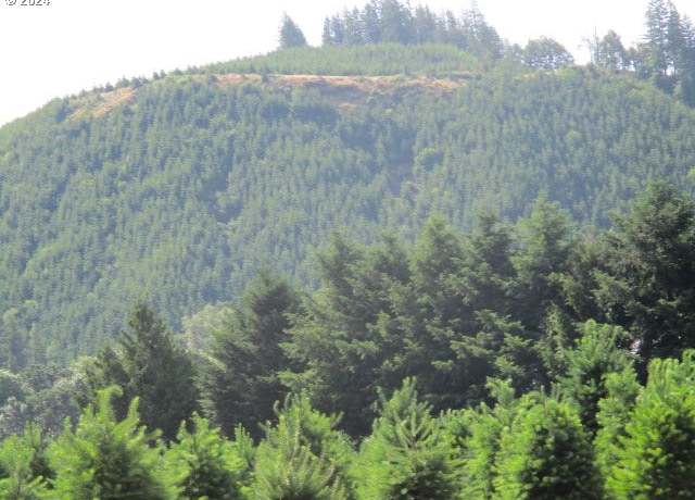 Property at 000 Thomas Creek Dr, Scio, OR 97374
