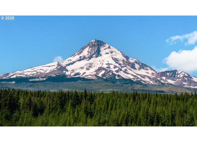 Property at 10200 Cooper Spur Rd, Mt Hood Prkdl, OR 97041