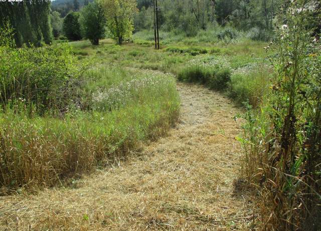 Property at Undisclosed address, Vernonia, OR 97064