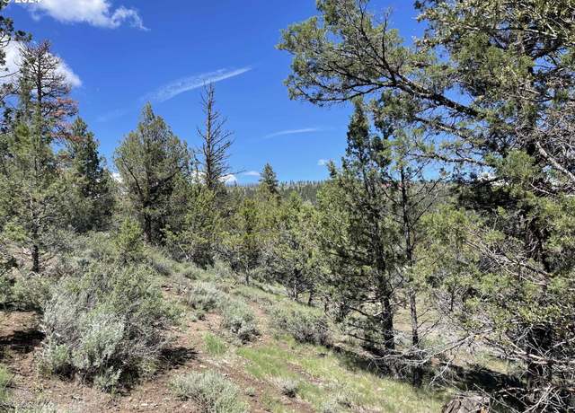 Property at Hwy 140 Unit TL2802, Lakeview, OR 97630