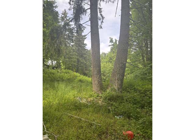 Property at 4360 NE Silver Falls Dr, Silverton, OR 97381
