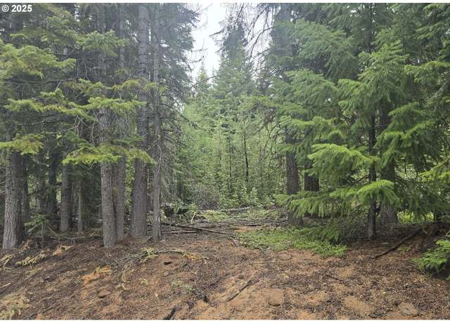 Property at 4 Royce Pine Rd, Crescent Lake, OR 97733