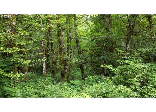 Property at 0 Blackcap Rd, OR 97138