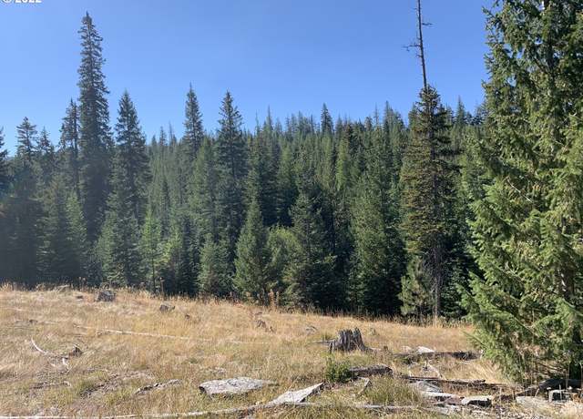 Property at 0 Forrest Land, La Grande, OR 97850