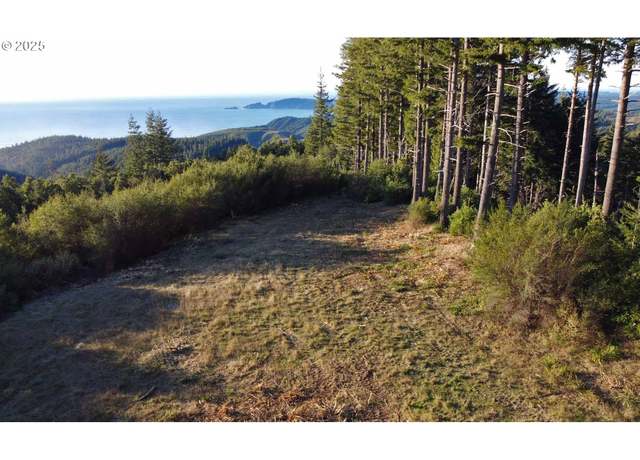 Property at 0 China Mountain Rd, Port Orford, OR 97465
