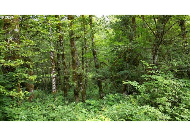 Property at 0 Blackcap Rd Lot 3&4, Seaside, OR 97138