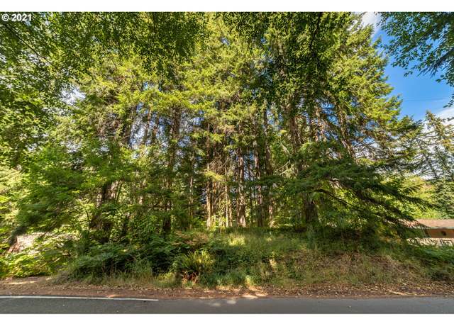 Property at 71501 Fishhawk Rd, Birkenfeld, OR 97016