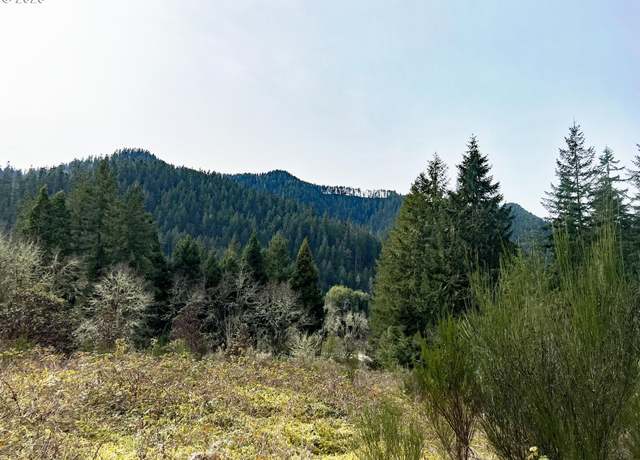 Property at State Highway 138, Oakland, OR 97462