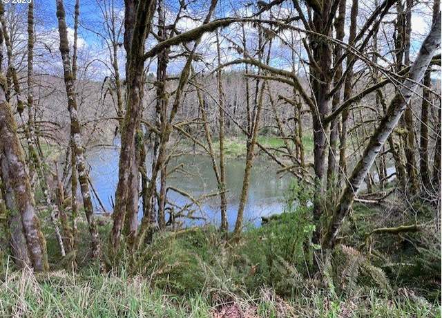 Property at Northrup Creek Rd, Birkenfeld, OR 97016