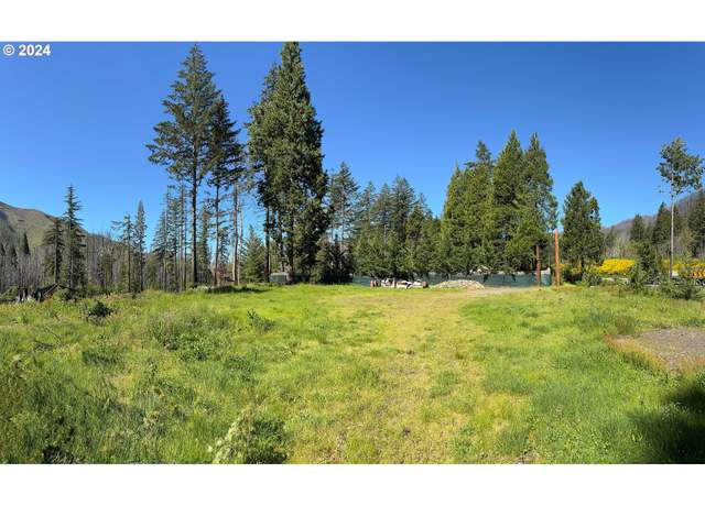 Property at Mckenzie Hwy #900, Vida, OR 97488