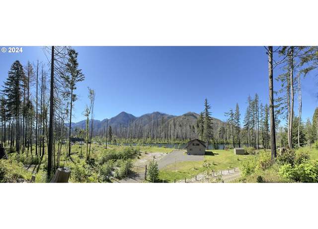 Property at Mckenzie Hwy #900, Vida, OR 97488