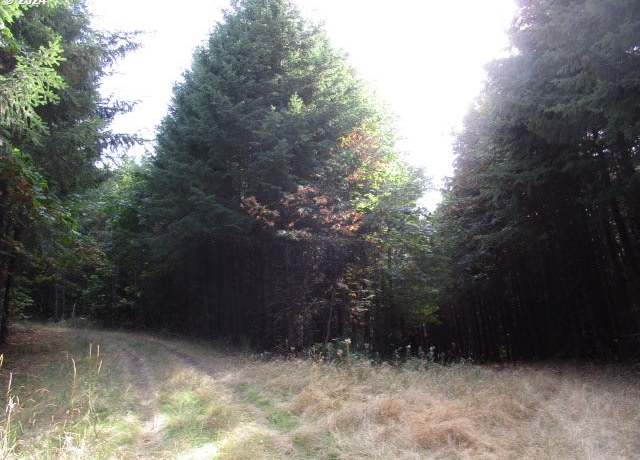 Property at 00 NW Crane (2), Yamhill, OR 97148