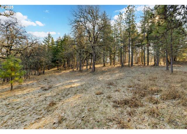 Property at 2110 Dundas Way, Mosier, OR 97040