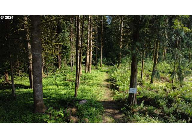 Property at 0 Carlon Loop Rd #3, Longview, WA 98632