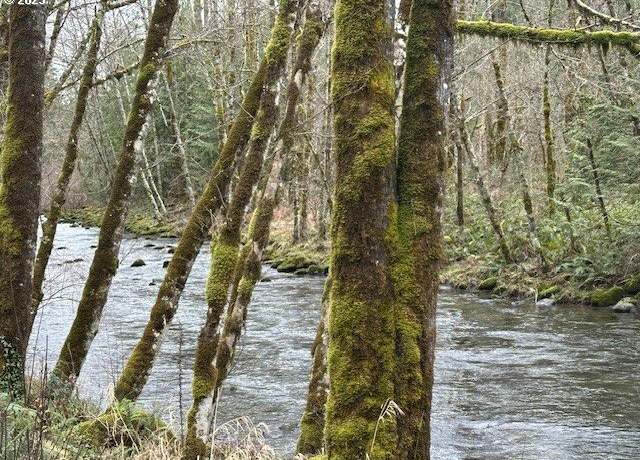 Property at 0 E Marmot, Sandy, OR 97055