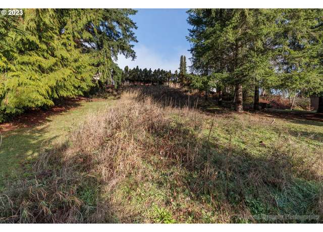Property at SW Orchard, Clatskanie, OR 97016