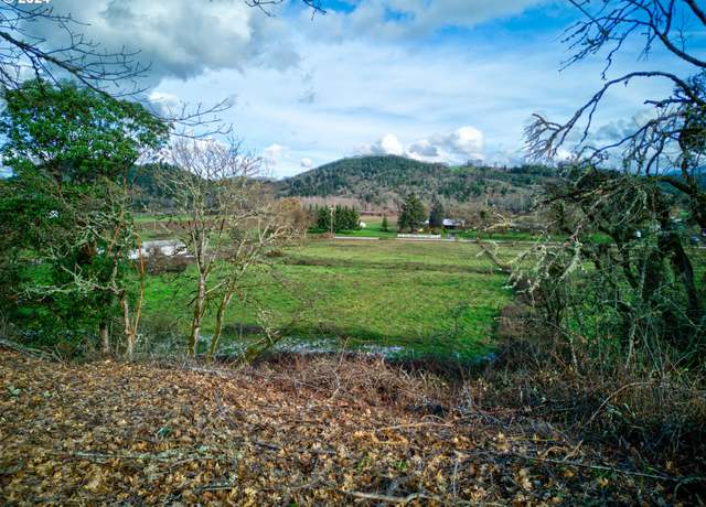 Property at 105 SE Lebleu Ln, Winston, OR 97496