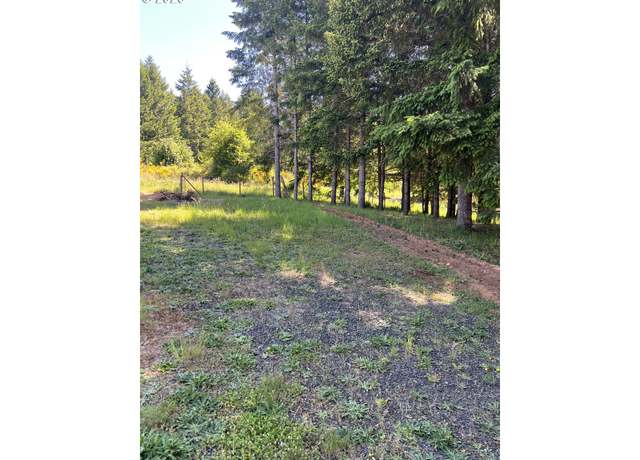 Property at 863 C St, Elkton, OR 97436