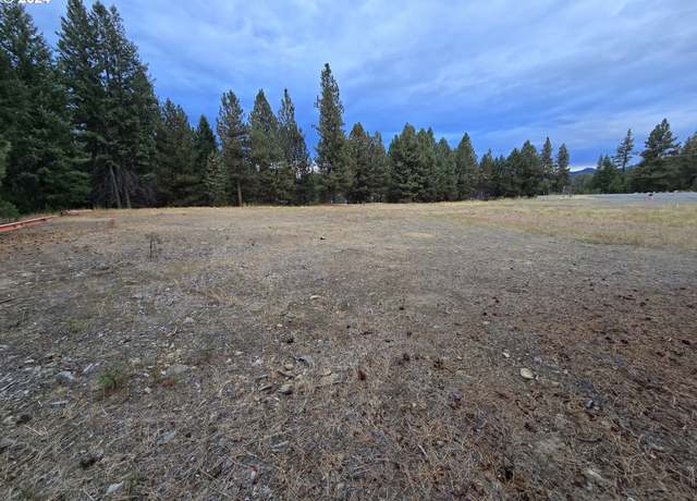 Property at 650 Sumpter Valley Hwy, Sumpter, OR 97877