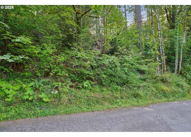 Property at W Side 841 NW Greenlea Rd, Portland, OR 97035