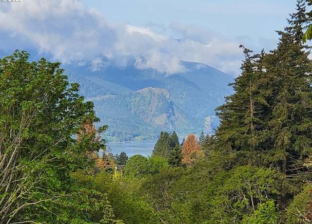 Property at 365 Rio Vista Dr, White Salmon, WA 98672
