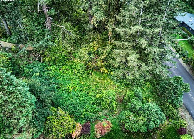 Property at 24 Lake Shore Dr, Skamania, WA 98648