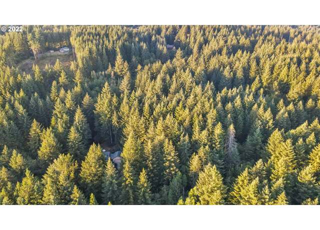 Property at 0 NE 46th St, Camas, WA 98607