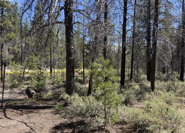 Property at Munson Dr Unit 1 & 2, Chiloquin, OR 97624