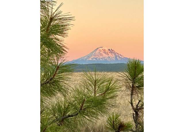 Property at 0 Redtail Rd, Lyle, WA 98635