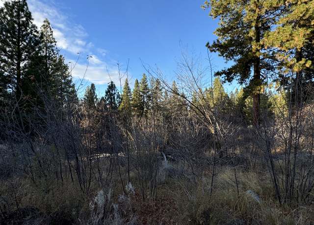 Property at Treeland Rd Lot 6, Chiloquin, OR 97624