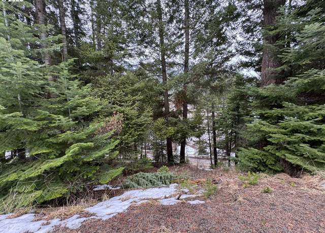 Property at 0 Forest Dell Rd, Joseph, OR 97846