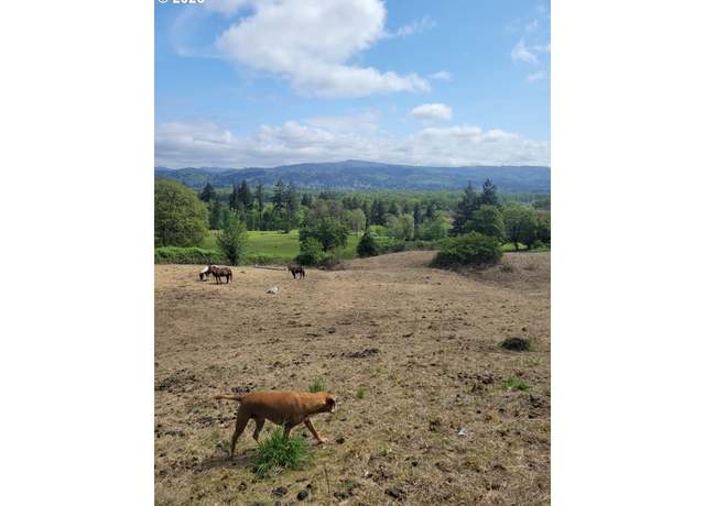 Property at Nicolai Cutoff Rd, Rainier, OR 97048