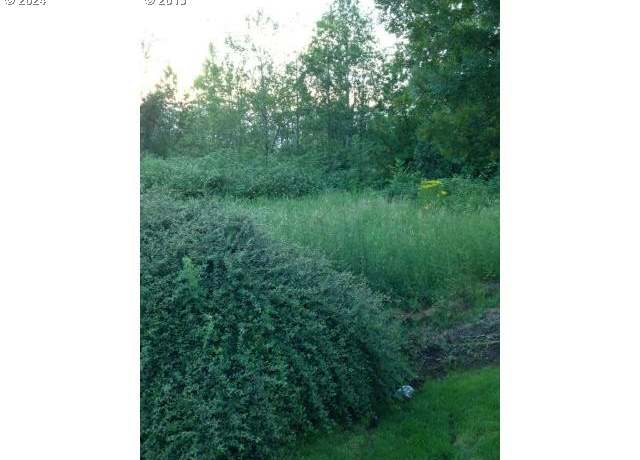 Property at 2514 W Main St, Battle Ground, WA 98604