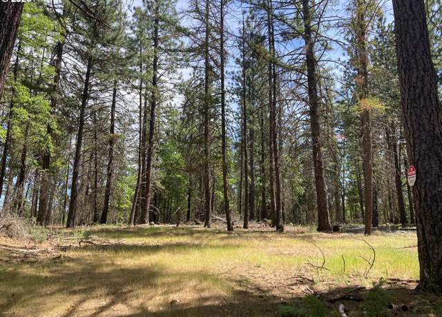 Property at 54 W Ponderosa Dr, Goldendale, WA 98620