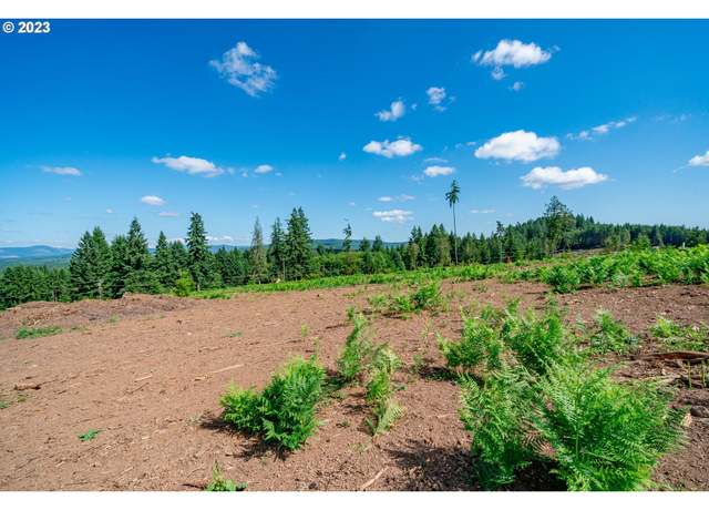 Property at 0 S Silver Lake Rd #4, Castle Rock, WA 98611