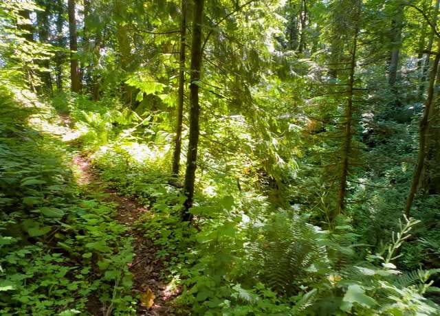 Property at 6320 SE Roethe Rd, Milwaukie, OR 97267