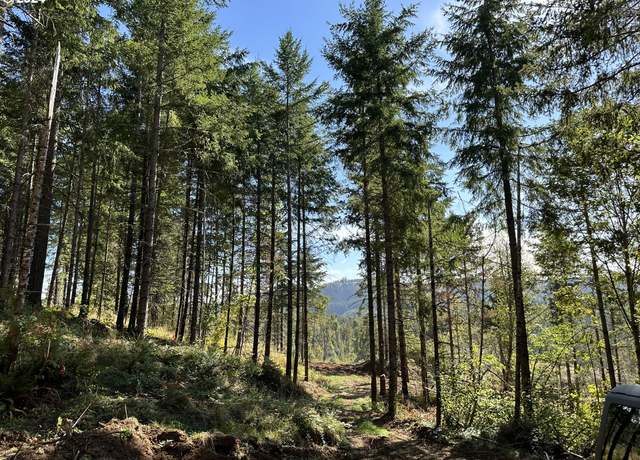 Property at 3647 Briar Knob Loop, Scotts Mills, OR 97375
