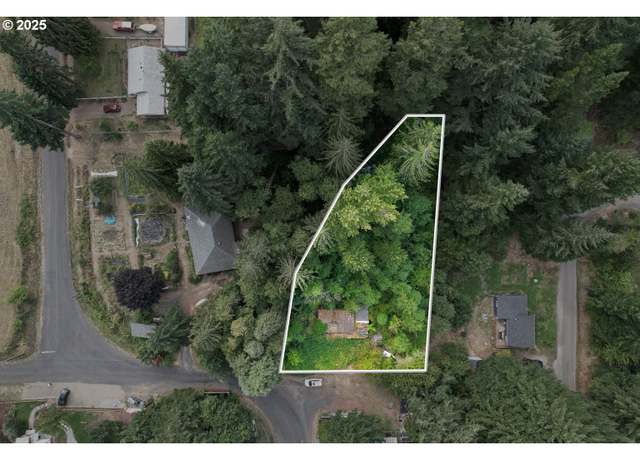 Property at 141 Carson Creek Rd, Carson, WA 98610