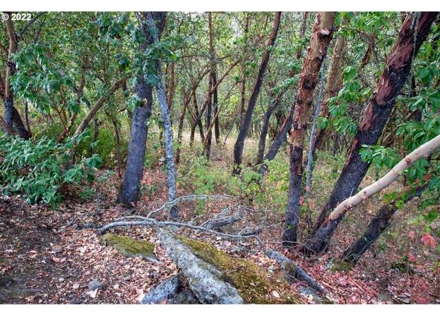 Property at 0 North Ct, Riddle, OR 97469