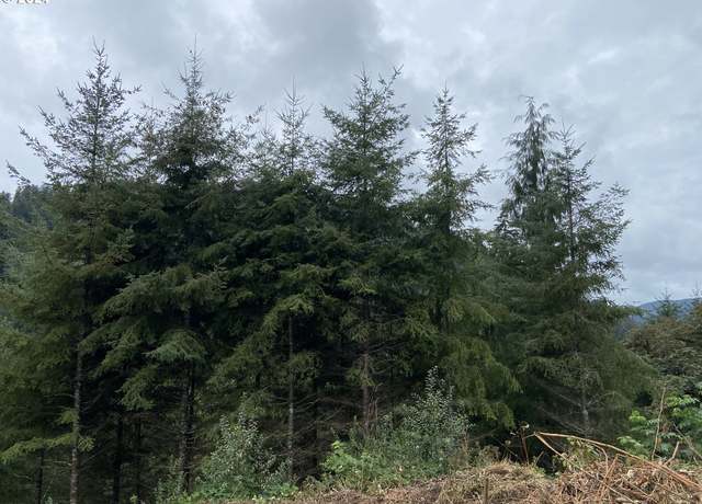 Property at Highway 126, Florence, OR 97439