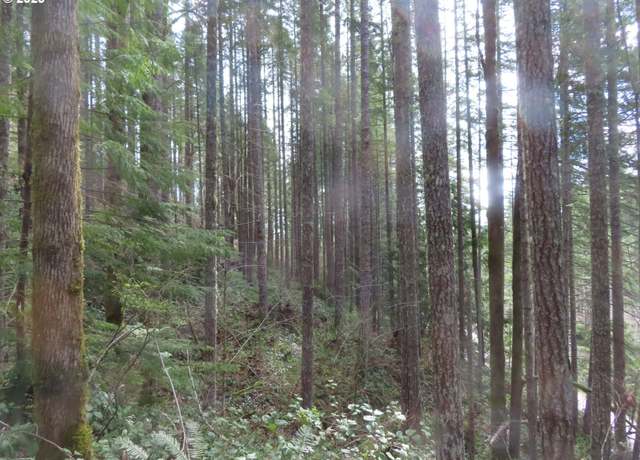 Property at N Lake Cushman Rd, Hoodsport, WA 98548