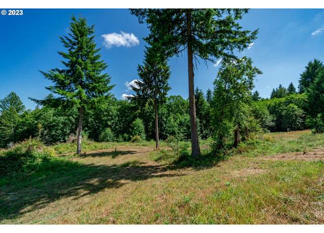 Property at 120 Red Hawk #2, Castle Rock, WA 98611