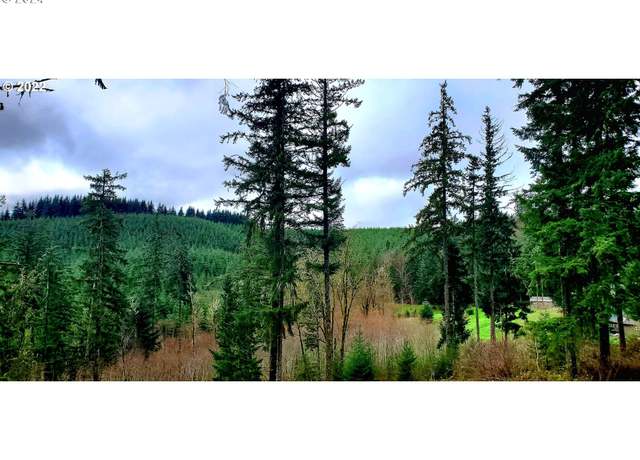 Property at Viewcrest Dr, Warren, OR 97053