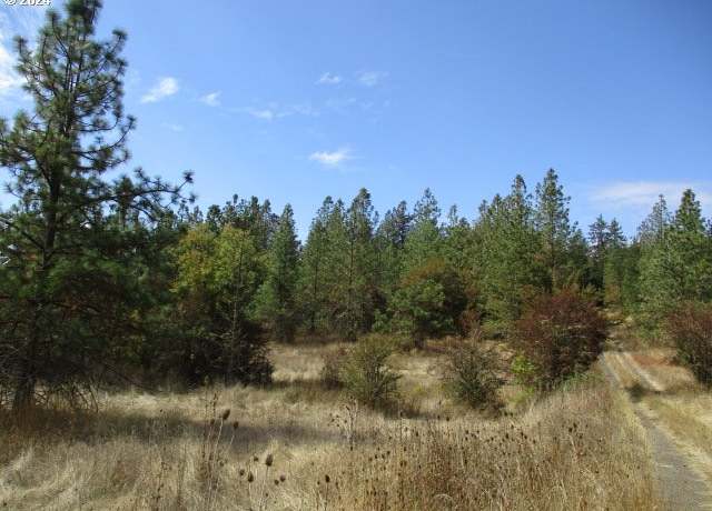 Property at 0000 Bellinger Scale Rd, Lebanon, OR 97355