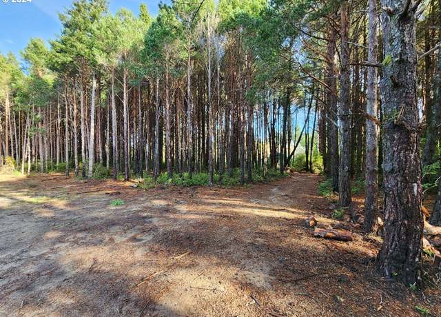 Property at Kreiger Ln #123, Port Orford, OR 97465