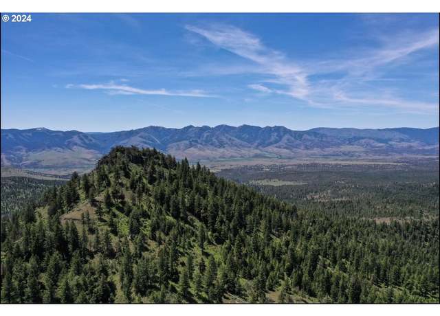 Property at Little Black Butte, Mount Vernon, OR 97865