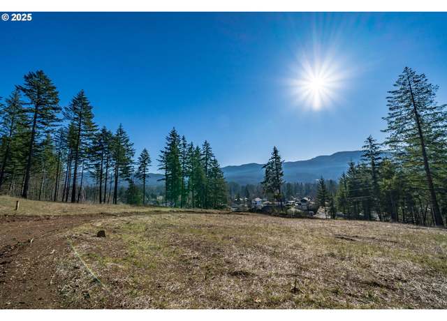 Property at 13594 Hudel Rd SE, Mill City, OR 97360