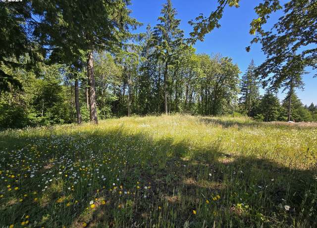 Property at 0 Olivia Ln Unit X, Kalama, WA 98625